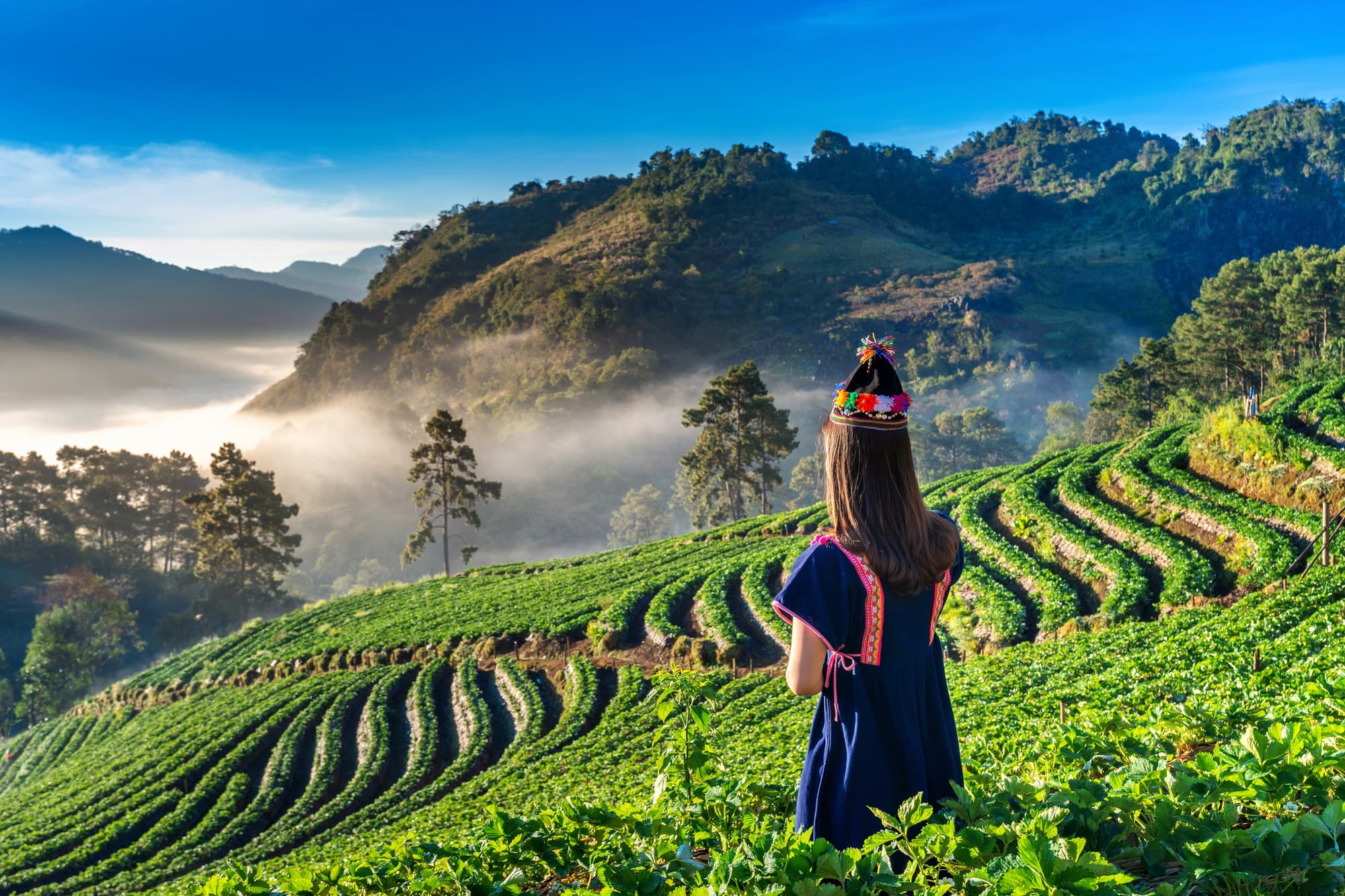 Munnar